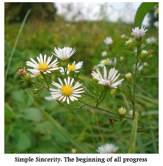 Simple Sincerity: The begining of all progress