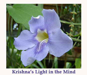 Krishna’s Light in the Mind